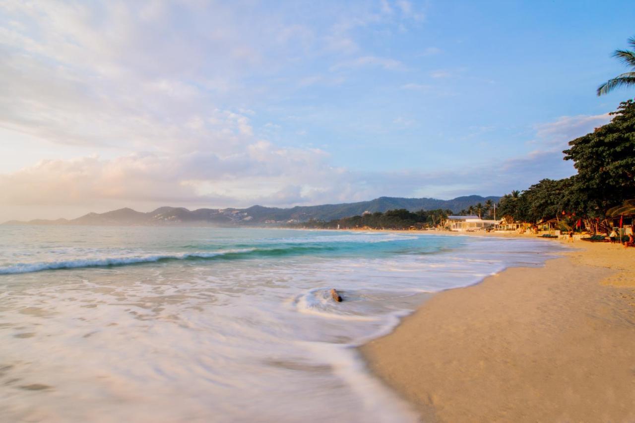 J4 Samui Hotel - Sha Plus Chaweng Beach Buitenkant foto